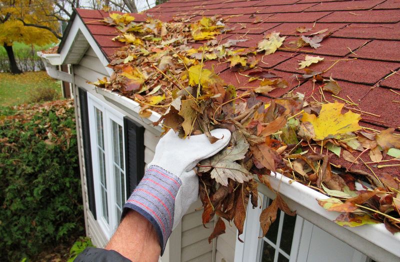 Gutter Leaves Removal in Frederick, MD